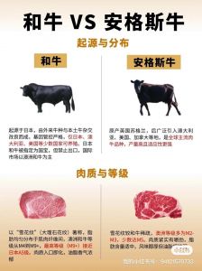 单层肥牛和双层肥牛区别_BBP双层肥牛好，烤着吃美味