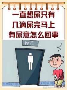 每隔30分钟就想小便_尿频频繁？检查生活习惯或看医生