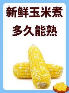 烀冻玉米多长时间才能熟_冻玉米怎么煮？解冻与加热时间看这里！