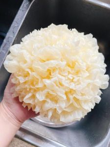 熟的白银耳可以上色吗_银耳发黄咋办？看闻摸泡辨好坏！