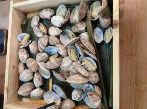 煮熟花甲能放多好_花甲冷藏2天保鲜，冷冻1个月，晾干6个月，口感会变差
