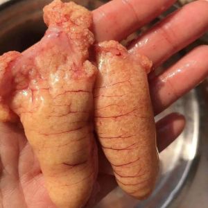 鱼籽有没有寄生虫_鱼籽有寄生虫风险，别生吃，注意过敏！