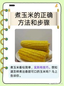 玉米微波炉几分钟可以熟_微波炉加热玉米不同方法时间