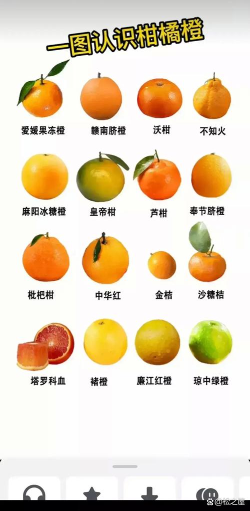桔子和橘子的成熟时间_桔子成熟期10-12月，早中晚熟品种挑选技巧