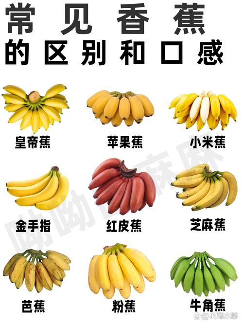 香蕉成熟时间对照表_香蕉成熟期看季节，选对香甜营养高