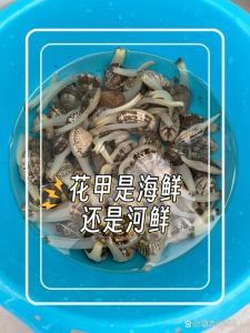 花甲爆开是不是就熟了_花甲生熟怎么辨？看颜色触感，开口是关键！