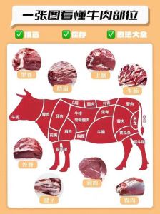 有点肥肉的牛肉是哪个部位_火锅炖煮优选部位
