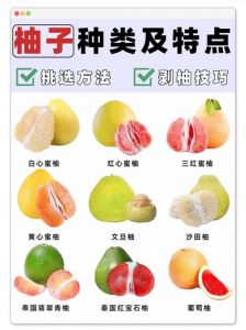 江苏柚子什么时候熟_江苏柚子9-12月成熟，沙田柚10月下旬至11月变黄，蜜柚11-12月变橙黄