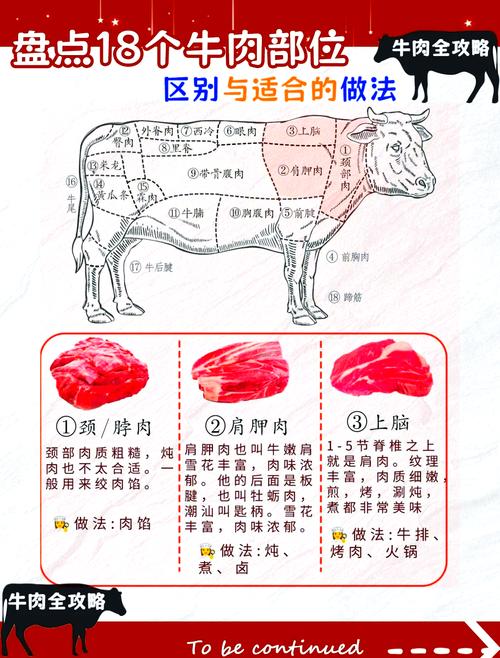 牛肥姘是牛的哪个部位_入口即化香滑肥瘦相间 牛肥姘是牛的哪个部位_入口即化香滑肥瘦相间