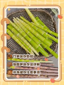 细鲜竹笋的正确焯水方法_竹笋焯水去涩，脆嫩营养好做法