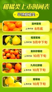 苏州橘子什么时候熟_苏州西山红橘熟了，香甜可口，快来采摘尝鲜！