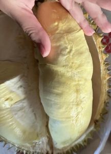 榴莲没熟打开后果肉硬怎么办_榴莲太硬怎么办？快速催熟与保存妙招！