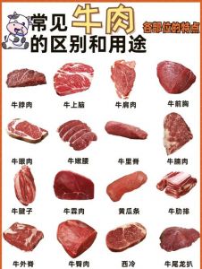 肥翅是牛身上什么部位_火锅烧烤两相宜