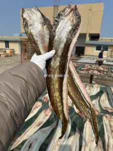 沙鳗鲞与沙鳗的区别_简单美味，传承创新的海底美味