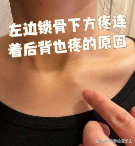 锁骨下窝位置图解_肩部不适与呼吸调节关键区