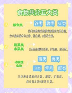 一二三产区的产品涵盖哪些主要类别的四种食材与特色商品