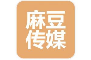 91麻花豆传媒在线免费观看：探索美味麻花的制作方法与文化背景