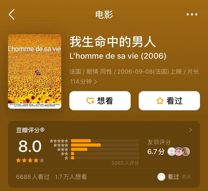 彩虹通讯录片子资源的多元解析与丰富内容探秘
