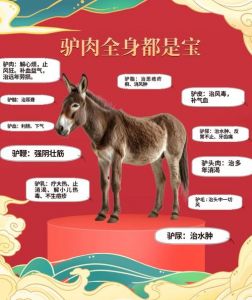 驴肉和马肉的检测方法_驴肉马肉怎么分？颜色气味口感是关键！