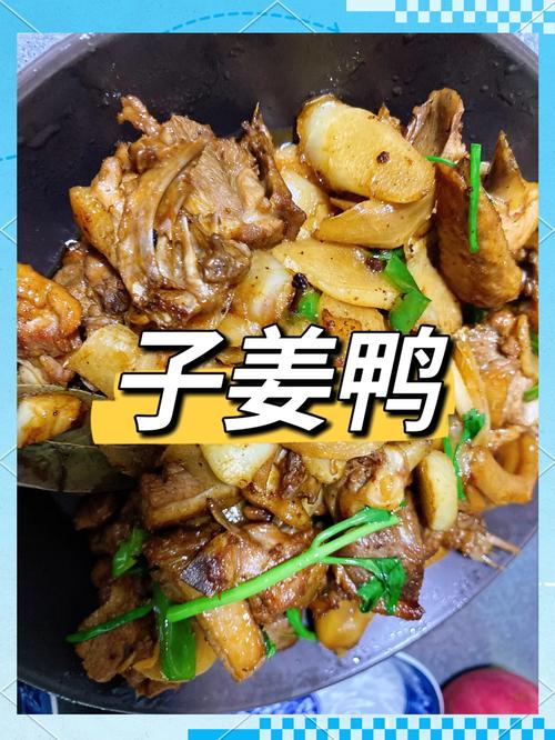 锅鸭的家常做法_家常锅鸭,简单美味! 锅鸭的家常做法_家常锅鸭,简单美味!