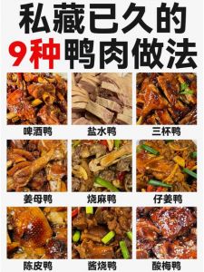狗仔鸭的做法大全家常_借鉴狗肉做法的香鸭家常菜