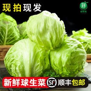 拌圆生菜的制作方法_紫甘蓝生菜凉拌菜做法，脆爽开胃！