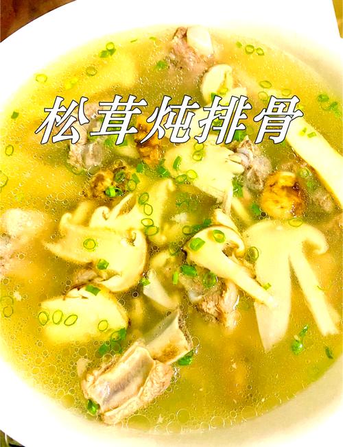 鲜松茸菇的家常做法_松茸处理与美味吃法 鲜松茸菇的家常做法_松茸处理与美味吃法