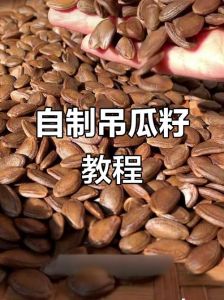 盐炒瓜子的正确方法_香脆瓜子炒法，简单易学！