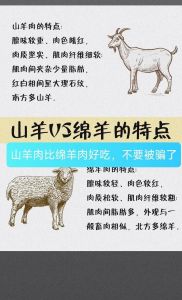 野山羊的家常做法_家常炖羊肉，去腥入味香！