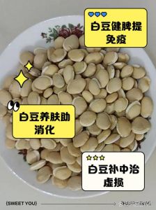 小白豆的家常做法_小白豆焖排骨做法详解