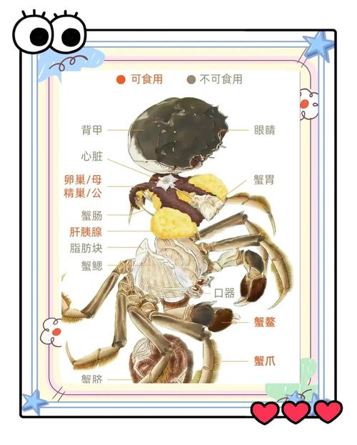 临沧大理活螃蟹做法_香辣葱油清蒸秘制蟹,活蟹选购与食用注意 临沧大理活螃蟹做法_香辣葱油清蒸秘制蟹,活蟹选购与食用注意