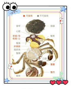 临沧大理活螃蟹做法_香辣葱油清蒸秘制蟹，活蟹选购与食用注意