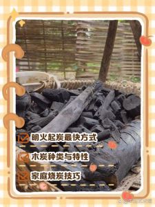 自制活性炭最简单方法_自制活性炭，净化家居环境