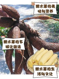 木薯不变色最简单三个步骤_冷冻密封防氧化，新鲜木薯这样存！