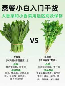 泰国吃蔬菜的方法全是生吃吗_泰国菜生食多，清爽解腻受欢迎