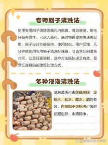 洗莲藕正确方法_醋盐泡藕，刷洗干净不脏孔
