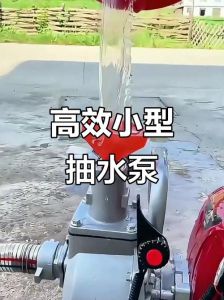 小型抽水机使用方法_手压和自吸水泵使用与维护小技巧