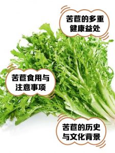 苦麻菜做法步骤_焯茎保脆，炒煮皆宜