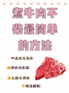煮肉用什么方法烂的快_炖肉难烂？加料技巧来帮忙！