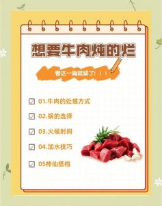 把肉炖烂的最快方法_炖肉不硬又快？用对方法很关键！