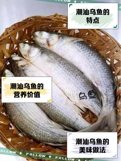 乌鱼几分钟就熟了_火候时间看这里! 乌鱼几分钟就熟了_火候时间看这里!