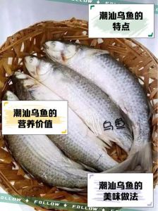 乌鱼几分钟就熟了_火候时间看这里！
