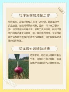 减少切洋葱流泪要怎样_切洋葱不流泪妙招大公开！