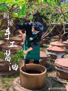 酱油制作方法自制过程_黄豆泡发到晒制全过程