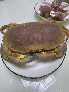 冷冻面包蟹做法大全_冷冻面包蟹保存3-6个月，口感好，做法多样！