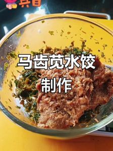 马肉馅蒸饺怎么拌馅窍门_选对肉，调好味，鲜嫩可口！
