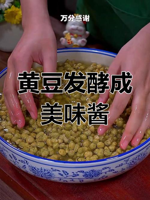发酵酱豆的制作方法_黄豆品质与发酵秘籍 发酵酱豆的制作方法_黄豆品质与发酵秘籍
