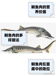 中华鲟鱼鳞处理方法图解_鲟鱼去鳞清蒸做法，简单易学