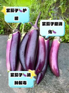 绿色茄子和紫色茄子区别_口感营养大不同