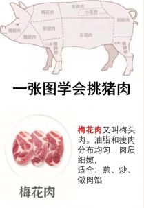 猪梅骨头肉是哪个部位图解_嫩滑丰腴，香煎炖煮皆美味！